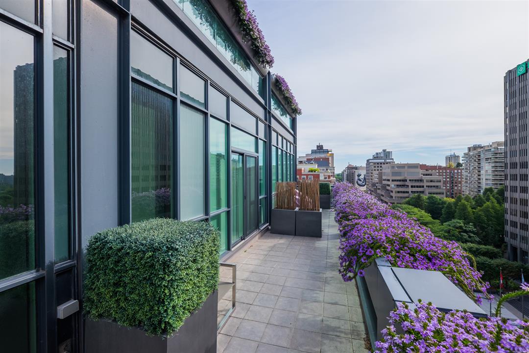 South Penthouse